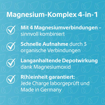R(h)ein Nutrition Magnesium Komplex 4 in 1 Kapseln hochdosiert vegan, A-Nr.: 5987206 - 03