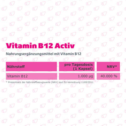 R(h)ein Nutrition Vitamin B12 Activ 1.000 µg Kapseln hochdosiert, A-Nr.: 5987258 - 08