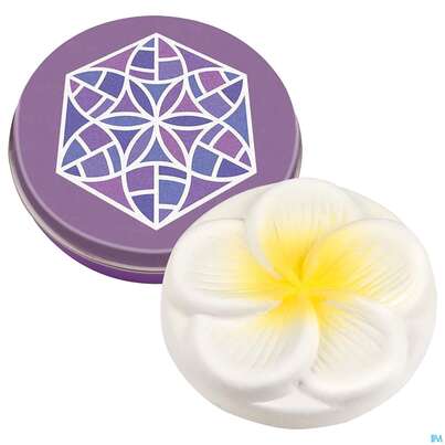 Sie sehen eine Packung Taoasis Minidose Bluete Mit Duftstein Frangipani (ve 10) 1st, Produktbild: 02 Taoasis Minidose Bluete Mit Duftstein Frangipani (ve 10) 1st, A-Nr.: 4558911 - 02