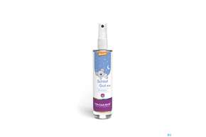 Taoasis Raumspray Schlaf Gut Kids Demeter 50ml, A-Nr.: 5998664 - 01