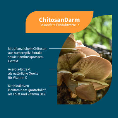 NatuGena ChitosanDarm Kapseln, A-Nr.: 5699128 - 02