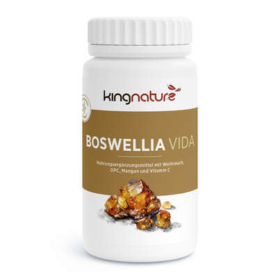 Sie sehen eine Packung KINGNATURE Boswellia Vida Kaps 100 mg Ds 90 Stk, Produktbild: 01 KINGNATURE Boswellia Vida Kaps 100 mg Ds 90 Stk, A-Nr.: 5667594 - 01