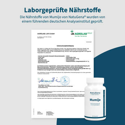 Sie sehen eine Packung NatuGena Mumijo Kapseln, Produktbild: 08 NatuGena Mumijo Kapseln, A-Nr.: 5699370 - 08