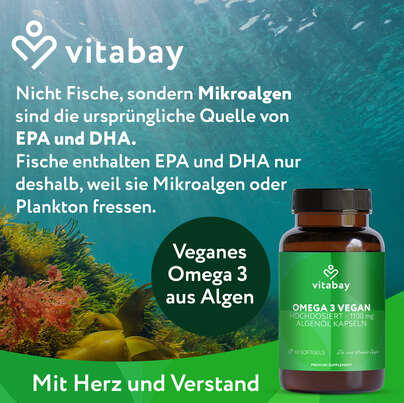 Sie sehen eine Packung Vitabay Omega 3 vegan Hochdosiert - 1.100mg - Algenöl Kapseln, Produktbild: 02 Vitabay Omega 3 vegan Hochdosiert - 1.100mg - Algenöl Kapseln, A-Nr.: 6049220 - 02