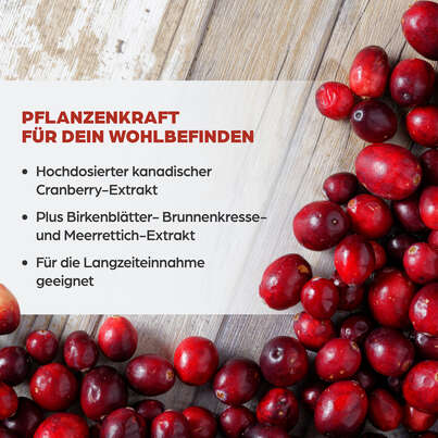 Dr. Böhm Cranberry complex, A-Nr.: 4846030 - 03