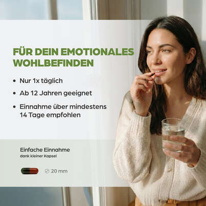 Dr. Böhm Johanniskraut, A-Nr.: 2426832 - 05