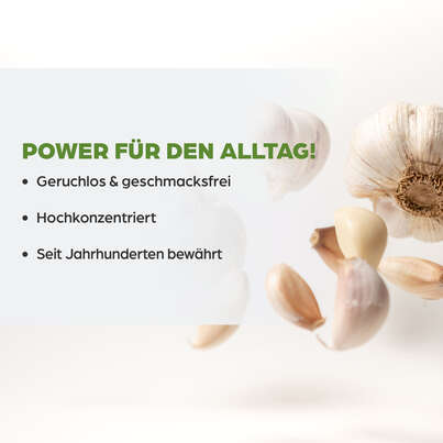 Sie sehen eine Packung Dr. Böhm Knoblauch nur 1 Dragee täglich, Produktbild: 03 Dr. Böhm Knoblauch nur 1 Dragee täglich, A-Nr.: 2552442 - 03