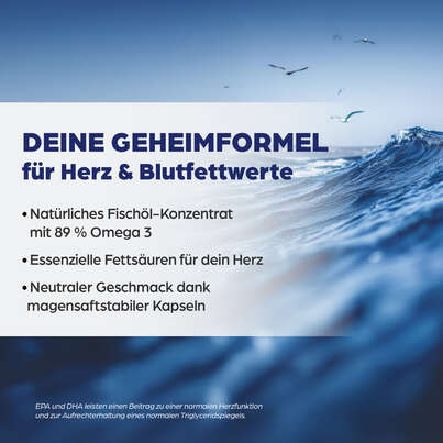 Sie sehen eine Packung Dr. Böhm Omega 3 complex, Produktbild: 03 Dr. Böhm Omega 3 complex, A-Nr.: 4162047 - 03