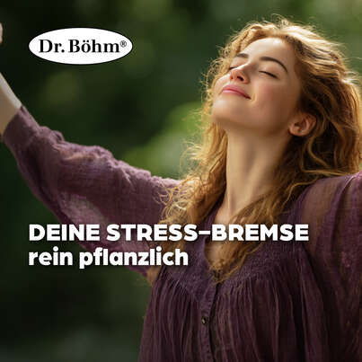 Dr. Böhm Passionsblume, A-Nr.: 3528322 - 02