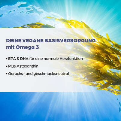 Sie sehen eine Packung Dr. Böhm® Omega 3 vegan, Produktbild: 03 Dr. Böhm® Omega 3 vegan, A-Nr.: 5711013 - 03