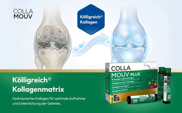 CollaMouv Plus®, A-Nr.: 6118079 - 03