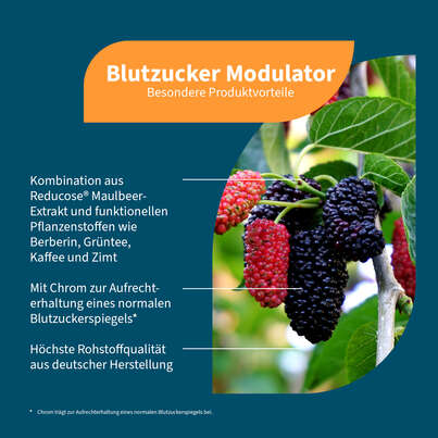 Sie sehen eine Packung NatuGena Blutzucker Modulator Kapseln, Produktbild: 02 NatuGena Blutzucker Modulator Kapseln, A-Nr.: 6035985 - 02