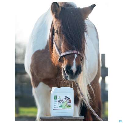 Sie sehen eine Packung Veterinaerprodukte Sonnenmoor Naturmoor Tiere 5l, Produktbild: 05 Veterinaerprodukte Sonnenmoor Naturmoor Tiere 5l, A-Nr.: 3635420 - 05