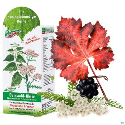 Sie sehen eine Packung Beinwohl Aktiv Kraeuterfit Elixier Bio Kraeuter Fruechte Alkoholfrei 330ml, Produktbild: 10 Beinwohl Aktiv Kraeuterfit Elixier Bio Kraeuter Fruechte Alkoholfrei 330ml, A-Nr.: 3961734 - 10