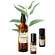 Sie sehen eine Packung Farfalla Juckt Mich Nicht Aroma-roll-on 10ml, Produktbild: 03 Farfalla Juckt Mich Nicht Aroma-roll-on 10ml, A-Nr.: 5935209 - 03