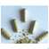 Sie sehen eine Packung Moringa Powder Capsules 60 Stk., Produktbild: 04 Moringa Powder Capsules 60 Stk., A-Nr.: 4583412 - 04