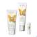 Sie sehen eine Packung Sonnenprodukte Farfalla Sos After Sun E+ Aloe Vera Gel 100ml, Produktbild: 04 Sonnenprodukte Farfalla Sos After Sun E+ Aloe Vera Gel 100ml, A-Nr.: 5935787 - 04