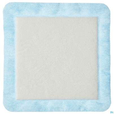 Sie sehen eine Packung Wundverband Mextra Superabsorbent 10x 10cm 10st, Produktbild: 02 Wundverband Mextra Superabsorbent 10x 10cm 10st, A-Nr.: 4802452 - 02