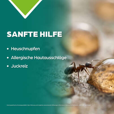 Apozema® Nr. 02 Allergie-Tropfen, A-Nr.: 0988023 - 03