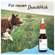Sie sehen eine Packung Veterinaerprodukte Pha Augenpflege Hund +katze Lösung 20ml, Produktbild: 09 Veterinaerprodukte Pha Augenpflege Hund +katze Lösung 20ml, A-Nr.: 4996798 - 09