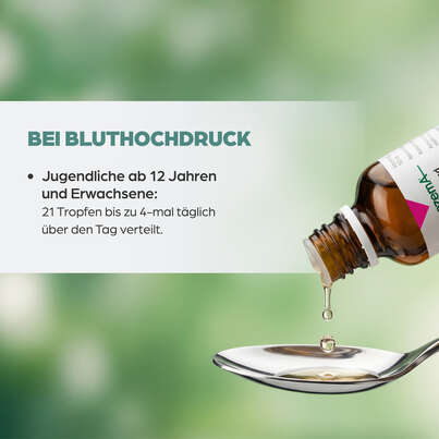 Sie sehen eine Packung Apozema® Nr. 10 Bluthochdruck-Tropfen, Produktbild: 05 Apozema® Nr. 10 Bluthochdruck-Tropfen, A-Nr.: 0987880 - 05
