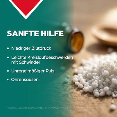 Sie sehen eine Packung Apozema® Nr. 11 Blutniederdruck-Tropfen, Produktbild: 03 Apozema® Nr. 11 Blutniederdruck-Tropfen, A-Nr.: 0987816 - 03