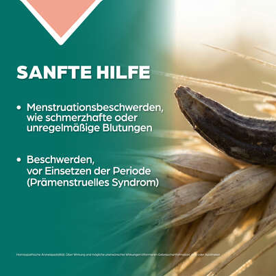 Sie sehen eine Packung Apozema® Nr. 15 Frauen-Tropfen, Produktbild: 03 Apozema® Nr. 15 Frauen-Tropfen, A-Nr.: 0987704 - 03