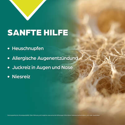 Sie sehen eine Packung Apozema® Nr. 19 Heuschnupfen-Tropfen, Produktbild: 03 Apozema® Nr. 19 Heuschnupfen-Tropfen, A-Nr.: 0987791 - 03