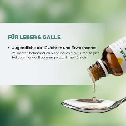 Sie sehen eine Packung Apozema® Nr. 21 Leber- und Galle-Tropfen, Produktbild: 05 Apozema® Nr. 21 Leber- und Galle-Tropfen, A-Nr.: 0987911 - 05