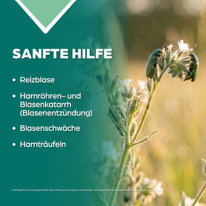 Sie sehen eine Packung Apozema® Nr. 26 Reizblasen-Tropfen, Produktbild: 03 Apozema® Nr. 26 Reizblasen-Tropfen, A-Nr.: 0987928 - 03