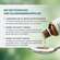 Sie sehen eine Packung Apozema® Nr. 31 Sinusitis-Tropfen, Produktbild: 05 Apozema® Nr. 31 Sinusitis-Tropfen, A-Nr.: 0987822 - 05