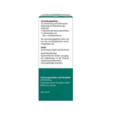 Sie sehen eine Packung Apozema® Nr. 31 Sinusitis-Tropfen, Produktbild: 06 Apozema® Nr. 31 Sinusitis-Tropfen, A-Nr.: 0987822 - 06