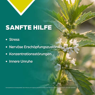 Sie sehen eine Packung Apozema® Nr. 33 Stress- und Nerven-Tropfen, Produktbild: 03 Apozema® Nr. 33 Stress- und Nerven-Tropfen, A-Nr.: 0982925 - 03