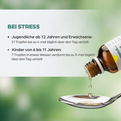 Sie sehen eine Packung Apozema® Nr. 33 Stress- und Nerven-Tropfen, Produktbild: 05 Apozema® Nr. 33 Stress- und Nerven-Tropfen, A-Nr.: 0982925 - 05
