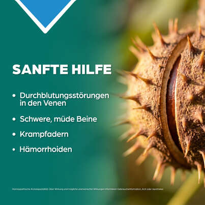 Sie sehen eine Packung Apozema® Nr. 35 Venen-Tropfen, Produktbild: 03 Apozema® Nr. 35 Venen-Tropfen, A-Nr.: 0980932 - 03