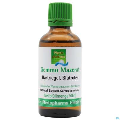 Sie sehen eine Packung Gemmo Mazerat Hartriegel/blutrot Cornus Sanguinea Phytopharma 50ml, Produktbild: 01 Gemmo Mazerat Hartriegel/blutrot Cornus Sanguinea Phytopharma 50ml, A-Nr.: 3107098 - 01