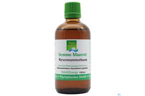 Gemmo Mazerat Riesenmammutbaum Sequoiadendron Giganteum Phytopharma 100ml, A-Nr.: 5394386 - 01