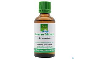Gemmo Mazerat Schwarzerle Alnus Glutinosa Phytopharma 50ml, A-Nr.: 3107069 - 01
