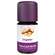 Sie sehen eine Packung Aetherische Oele Taoasis Bio Ingwer 5ml, Produktbild: 01 Aetherische Oele Taoasis Bio Ingwer 5ml, A-Nr.: 3494965 - 01