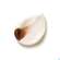 Dr. Hauschka Rosen Tagescreme 30ml, A-Nr.: 2051504 - 10