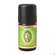 Sie sehen eine Packung Aetherische Oele Primavera Zirbelkiefer Bio 5ml, Produktbild: 03 Aetherische Oele Primavera Zirbelkiefer Bio 5ml, A-Nr.: 2305436 - 03