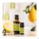 Sie sehen eine Packung Aetherische Oele Primavera Bergamotte Bio 10ml, Produktbild: 05 Aetherische Oele Primavera Bergamotte Bio 10ml, A-Nr.: 2304974 - 05