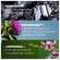 Ducray Neoptide/expert Intensivpflege Bei Haarausfall 2x50m 100ml, A-Nr.: 5688892 - 16
