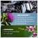 Ducray Neoptide/expert Intensivpflege Bei Haarausfall 2x50m 100ml, A-Nr.: 5688892 - 21