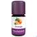 Sie sehen eine Packung Aetherische Oele Taoasis Bio Orange 5ml, Produktbild: 01 Aetherische Oele Taoasis Bio Orange 5ml, A-Nr.: 5384554 - 01