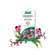 Sie sehen eine Packung A.Vogel Salviaforce mit Echinacea Halspastillen, Produktbild: 03 A.Vogel Salviaforce mit Echinacea Halspastillen, A-Nr.: 5460172 - 03