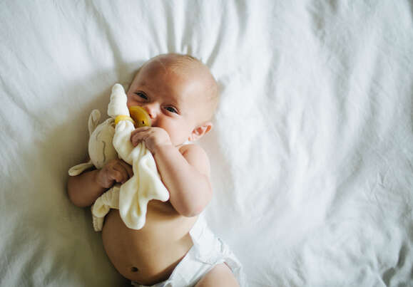 Bio Schnullerhalter / Tröster PaciPixy Natursutten, A-Nr.: 5568745 - 02