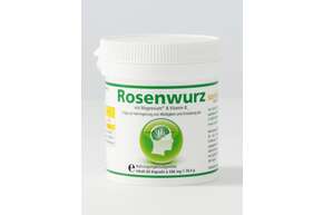 Sie sehen eine Packung Rosenwurz Kapseln mit Magnesium und Vitamin B1 60 Stück, Produktbild: 01 Rosenwurz Kapseln mit Magnesium und Vitamin B1 60 Stück, A-Nr.: 3238937 - 01