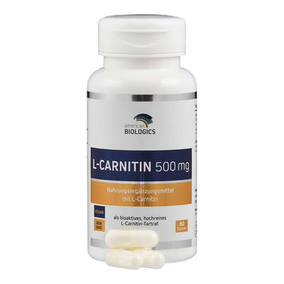 L-Carnitin 500 mg Kapseln, A-Nr.: 4891740 - 04