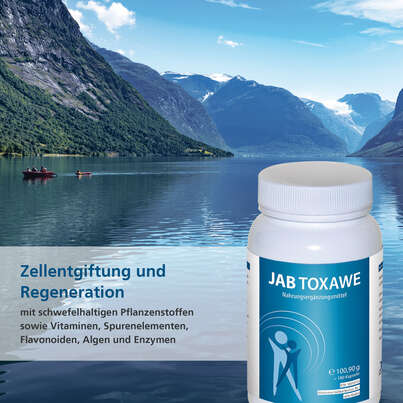 JAB Toxawe, A-Nr.: 5181555 - 02